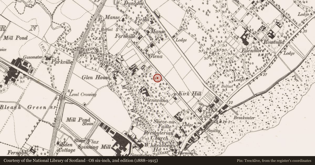Ordnance Survey six-inch map, 2nd edition (1888–1915) covering the location of Whiteabbey Primary School, Jordanstown, Antrim and Newtownabbey, with a pin at the register's coordinates