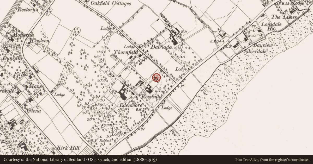 Ordnance Survey six-inch map, 2nd edition (1888–1915) covering the location of Lodge in grounds of Thornfield House School, Jordanstown, Antrim and Newtownabbey, with a pin at the register's coordinates