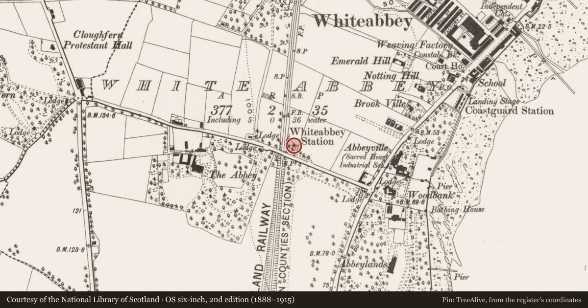 Ordnance Survey six-inch map, 2nd edition (1888–1915) covering the location of Whiteabbey Railway Station, Antrim and Newtownabbey, with a pin at the register's coordinates