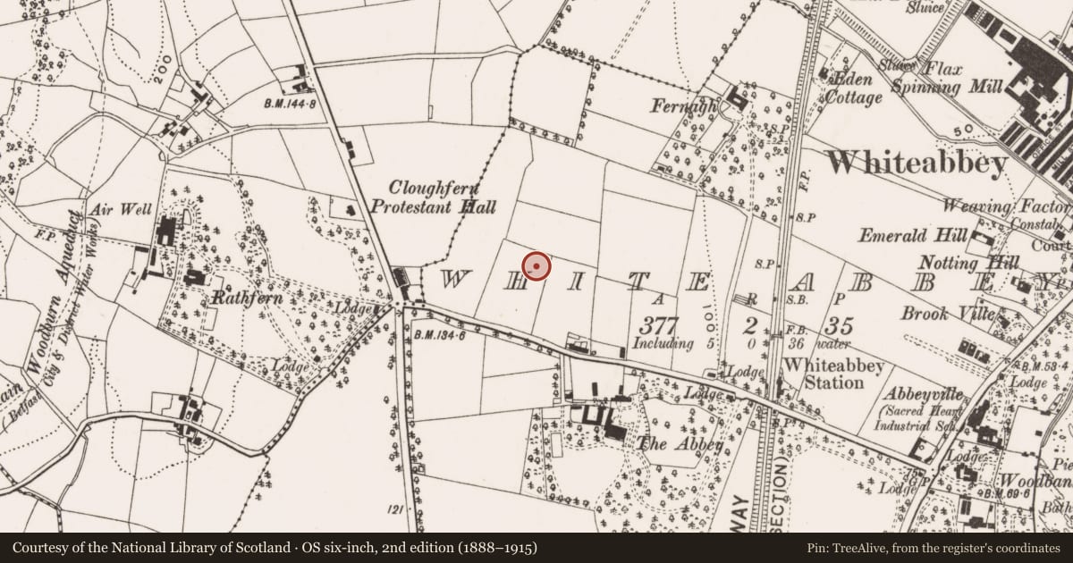 Ordnance Survey six-inch map, 2nd edition (1888–1915) covering the location of Prince's Park Estate, Antrim and Newtownabbey, with a pin at the register's coordinates