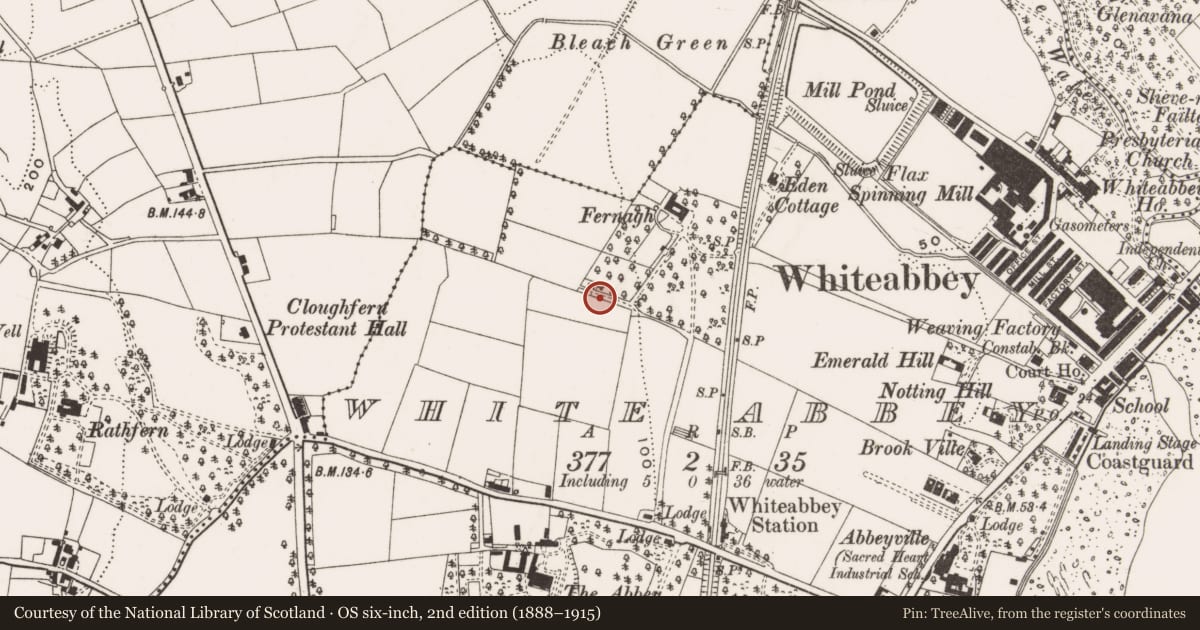 Ordnance Survey six-inch map, 2nd edition (1888–1915) covering the location of Fernagh Estate, Antrim and Newtownabbey, with a pin at the register's coordinates
