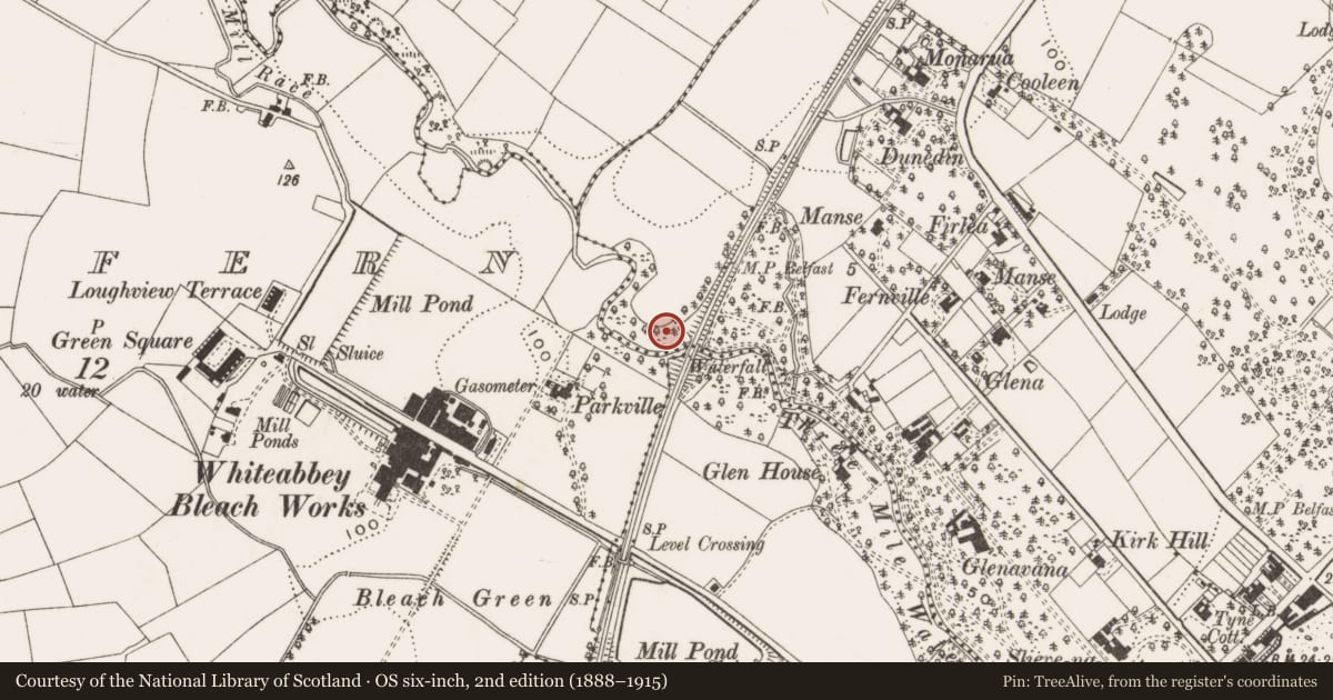 Ordnance Survey six-inch map, 2nd edition (1888–1915) covering the location of Railway Viaduct (1), Whiteabbey, Antrim and Newtownabbey, with a pin at the register's coordinates