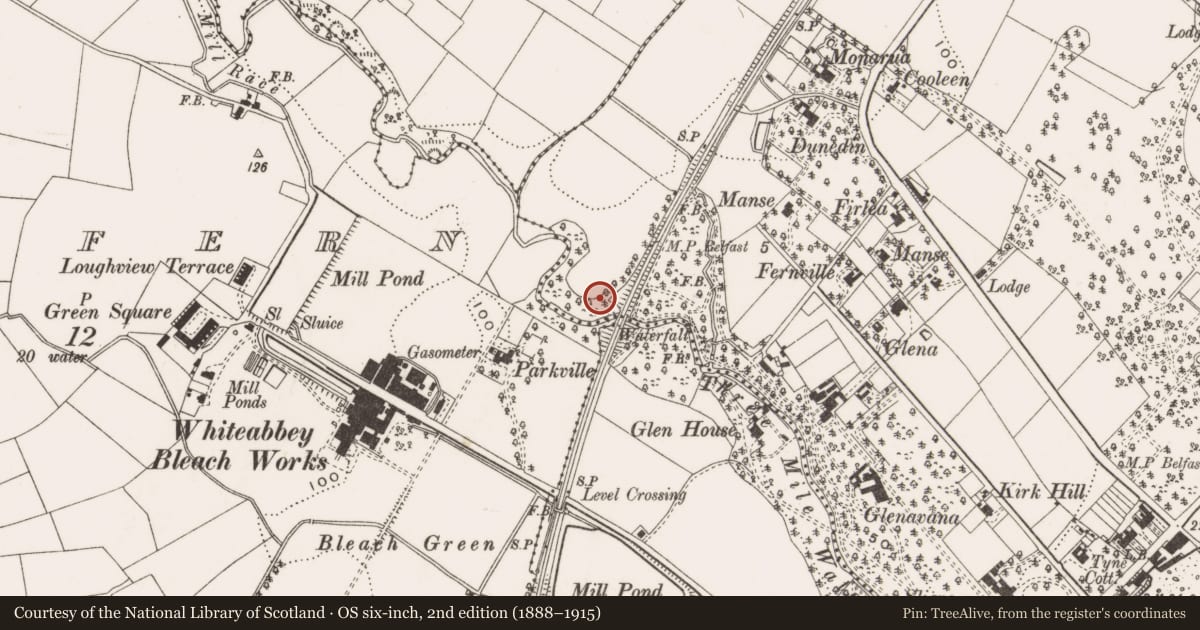 Ordnance Survey six-inch map, 2nd edition (1888–1915) covering the location of Railway Viaduct, Jordanstown/Whiteabbey, Antrim and Newtownabbey, with a pin at the register's coordinates
