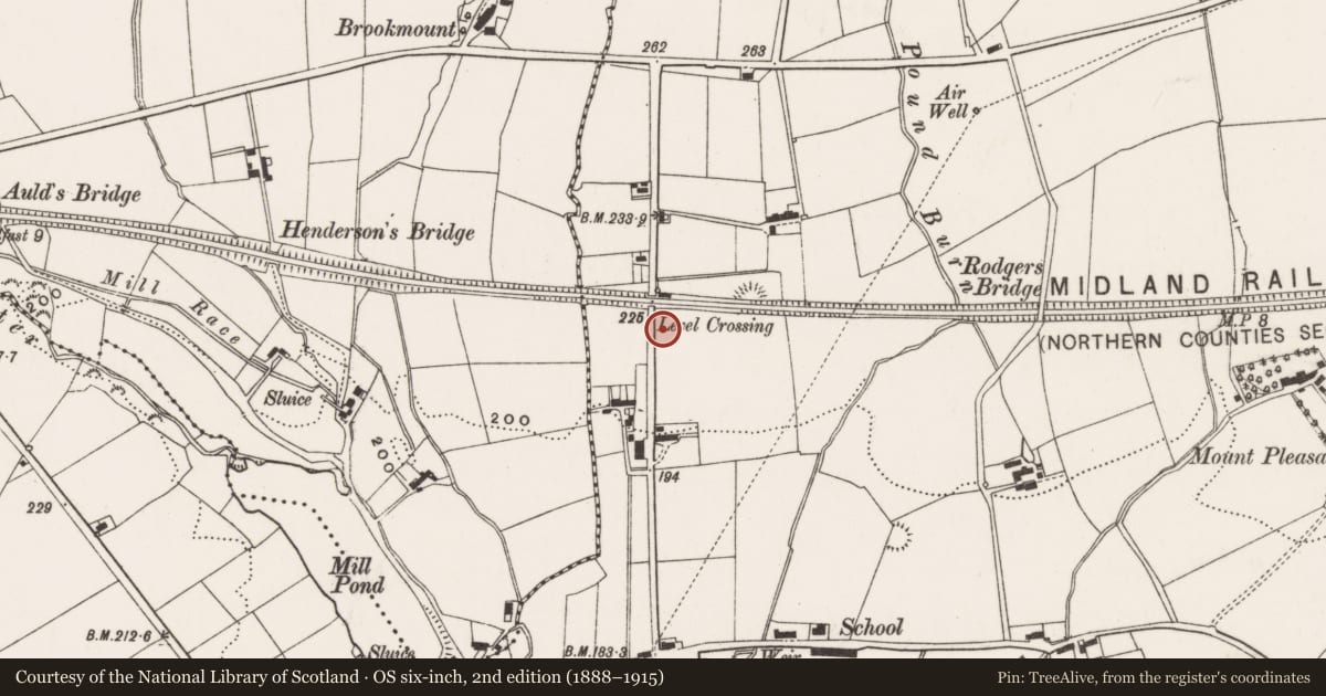 Ordnance Survey six-inch map, 2nd edition (1888–1915) covering the location of Monkstown Bridge, Antrim and Newtownabbey, with a pin at the register's coordinates