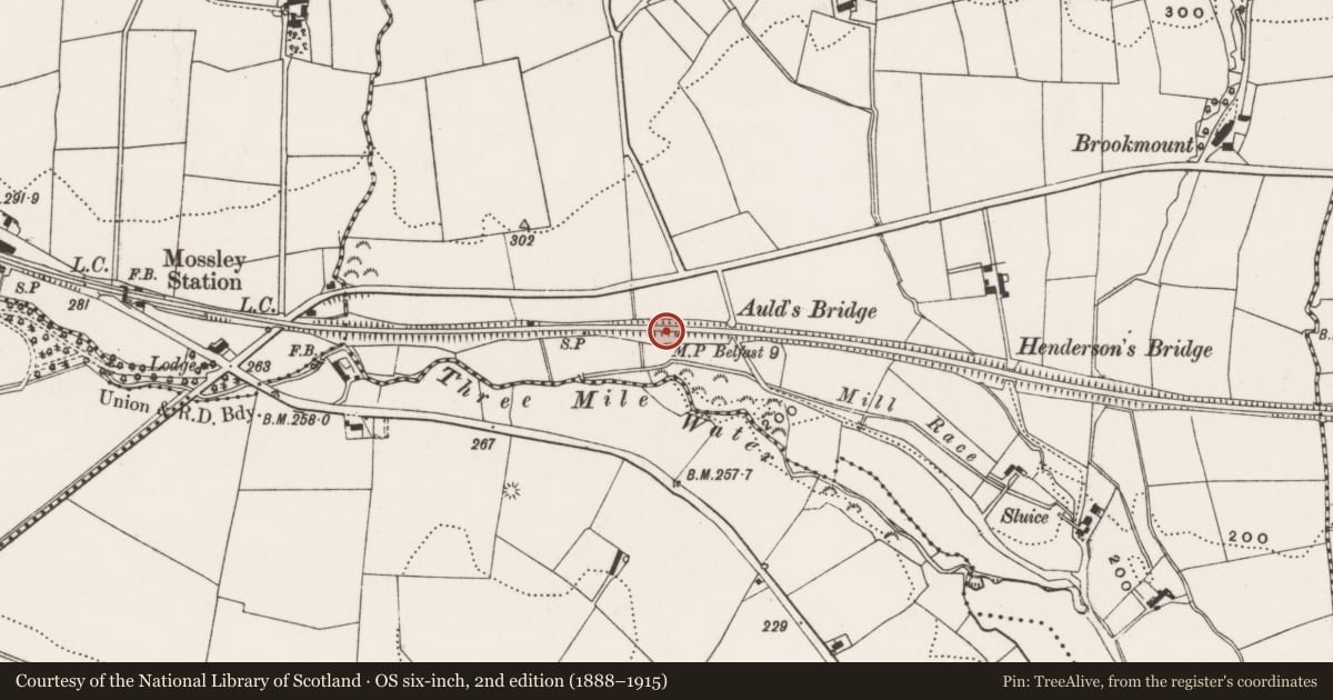 Ordnance Survey six-inch map, 2nd edition (1888–1915) covering the location of Auld's Bridge, Ballyhowne, Antrim and Newtownabbey, with a pin at the register's coordinates