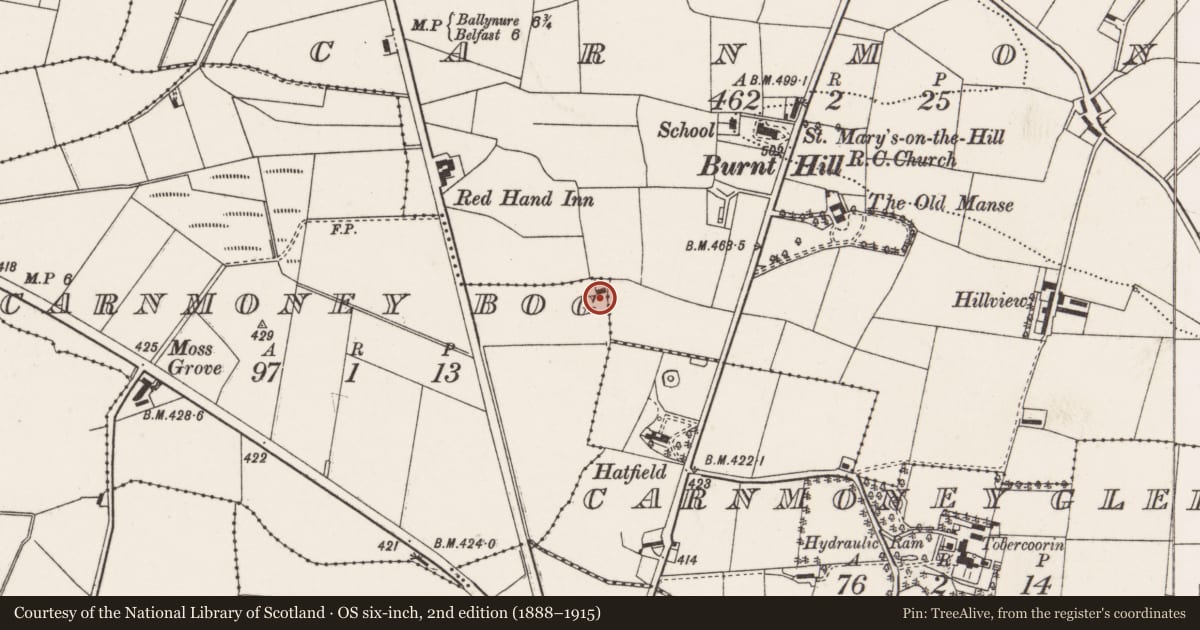 Ordnance Survey six-inch map, 2nd edition (1888–1915) covering the location of Sally Gardens, Antrim and Newtownabbey, with a pin at the register's coordinates