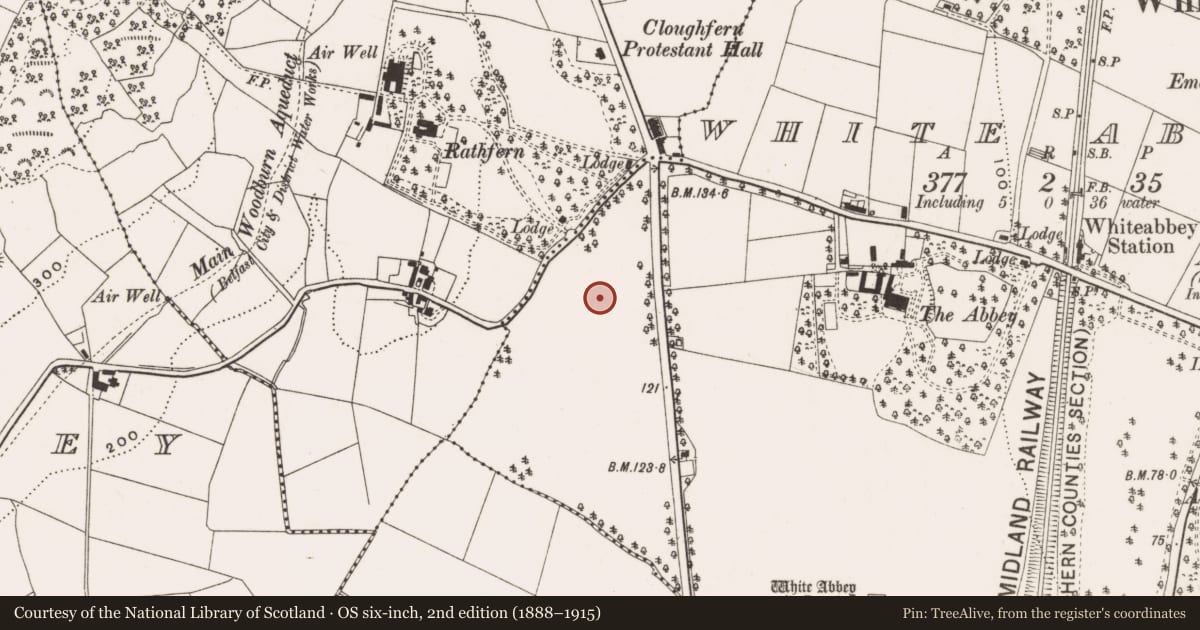 Ordnance Survey six-inch map, 2nd edition (1888–1915) covering the location of Church of the Ascension, Whiteabbey, Antrim and Newtownabbey, with a pin at the register's coordinates