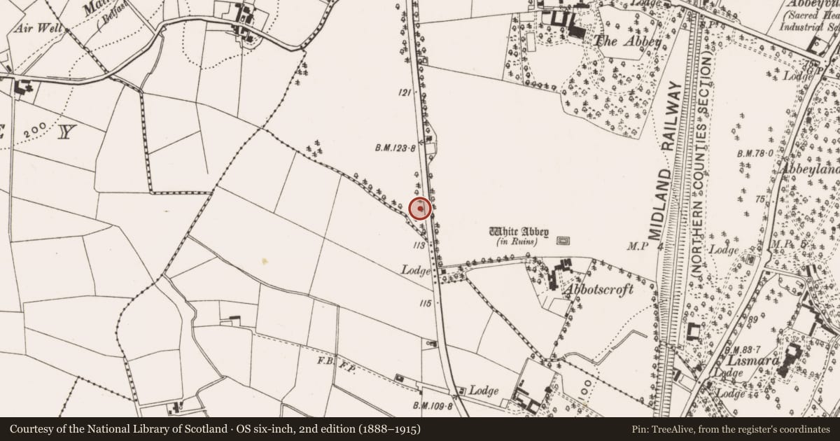 Ordnance Survey six-inch map, 2nd edition (1888–1915) covering the location of Christ Church Congregational Church, Croghfern, Antrim and Newtownabbey, with a pin at the register's coordinates