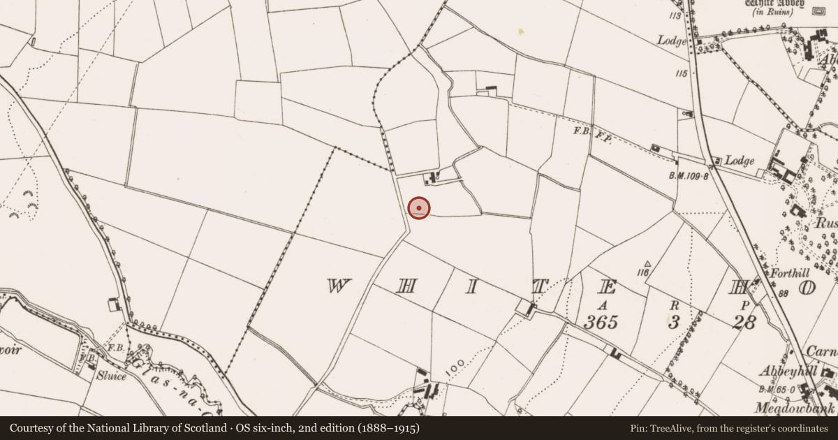 Ordnance Survey six-inch map, 2nd edition (1888–1915) covering the location of St. Comgall'S C OF I CHURCH, Antrim and Newtownabbey, with a pin at the register's coordinates
