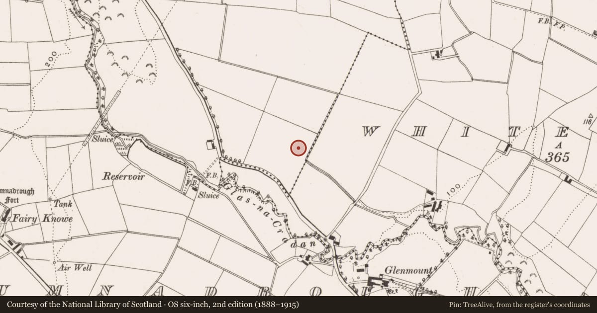 Ordnance Survey six-inch map, 2nd edition (1888–1915) covering the location of Rathcoole Presbyterian Church, Antrim and Newtownabbey, with a pin at the register's coordinates
