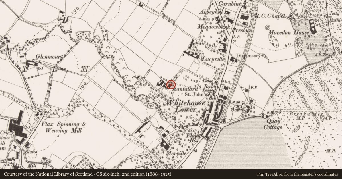 Ordnance Survey six-inch map, 2nd edition (1888–1915) covering the location of Rantalard House, Whitehouse, Antrim and Newtownabbey, with a pin at the register's coordinates