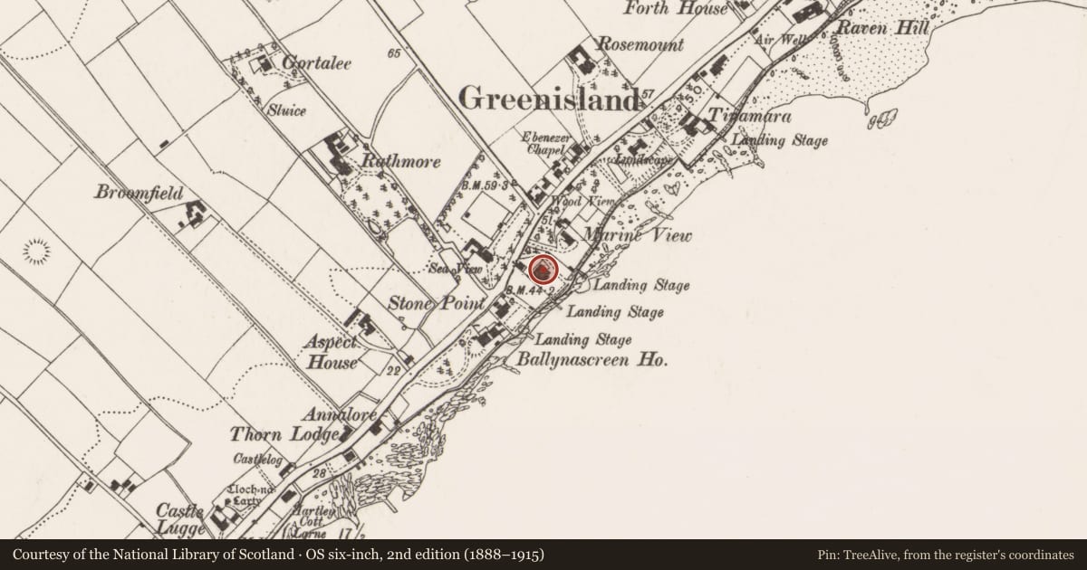 Ordnance Survey six-inch map, 2nd edition (1888–1915) covering the location of 53 Shore Road, West Division, Mid and East Antrim, with a pin at the register's coordinates