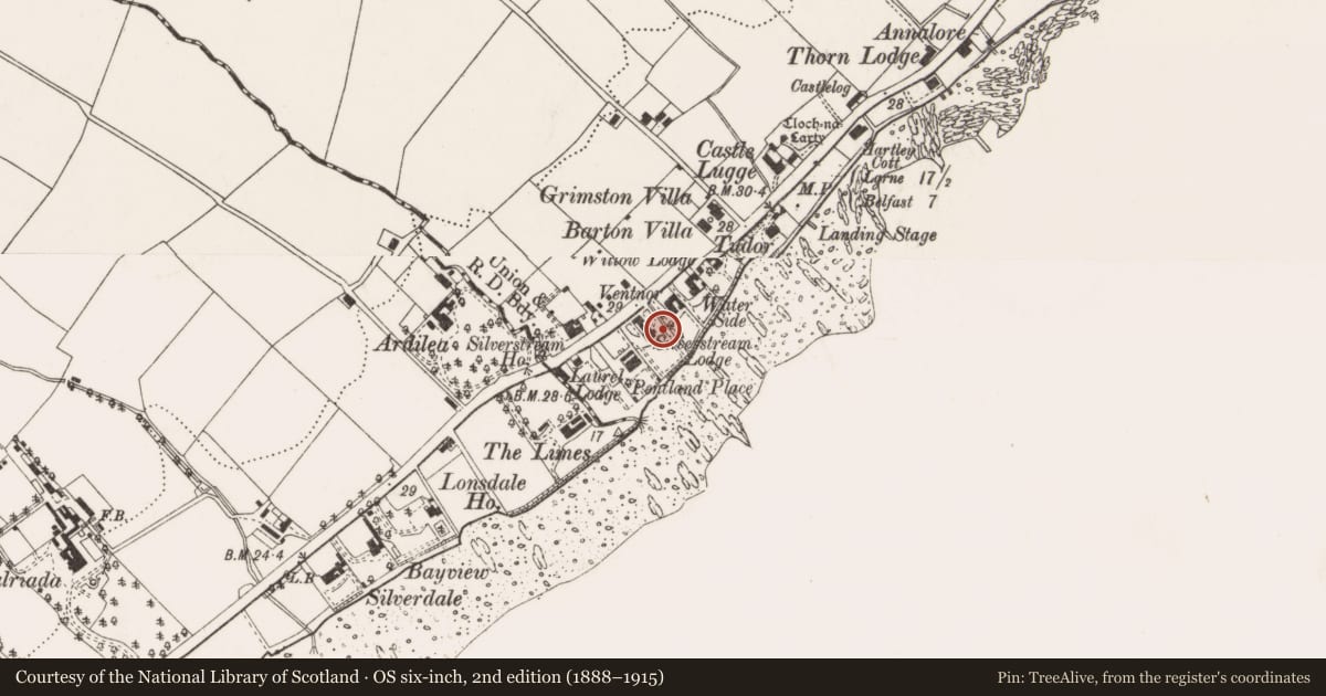 Ordnance Survey six-inch map, 2nd edition (1888–1915) covering the location of Silverstream Lodge, West Division, Antrim and Newtownabbey, with a pin at the register's coordinates
