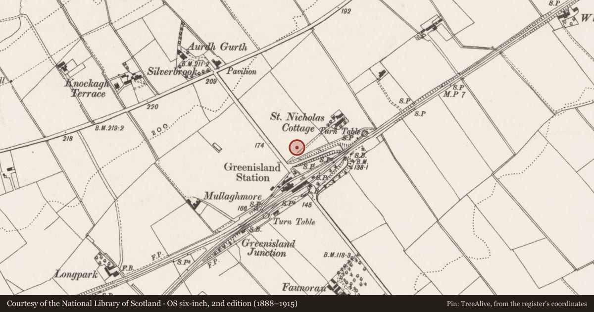 Ordnance Survey six-inch map, 2nd edition (1888–1915) covering the location of Greenisland Primary School, Mid and East Antrim, with a pin at the register's coordinates