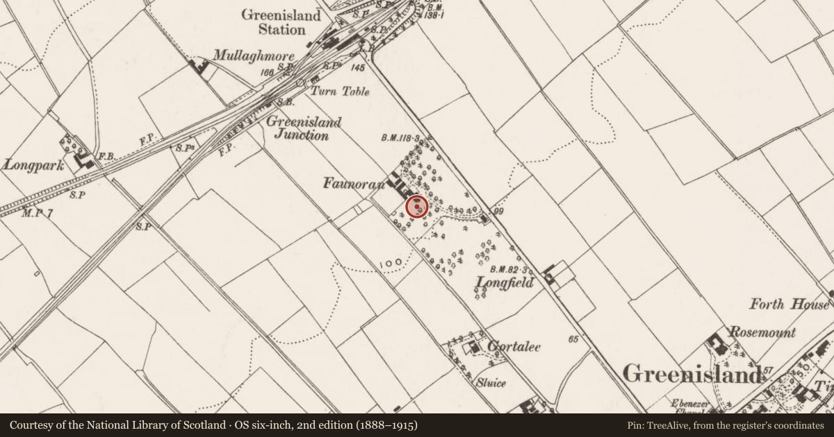 Ordnance Survey six-inch map, 2nd edition (1888–1915) covering the location of 17 Glassillan Grove, Mid and East Antrim, with a pin at the register's coordinates