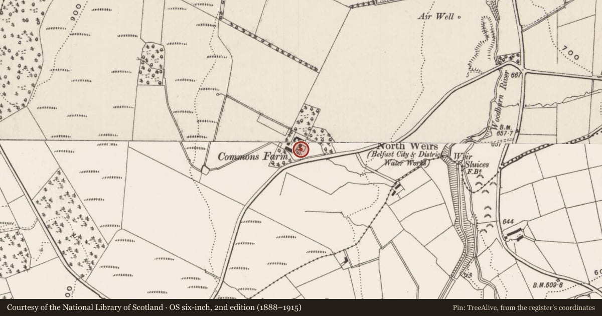 Ordnance Survey six-inch map, 2nd edition (1888–1915) covering the location of Commons Farm, Mid and East Antrim, with a pin at the register's coordinates