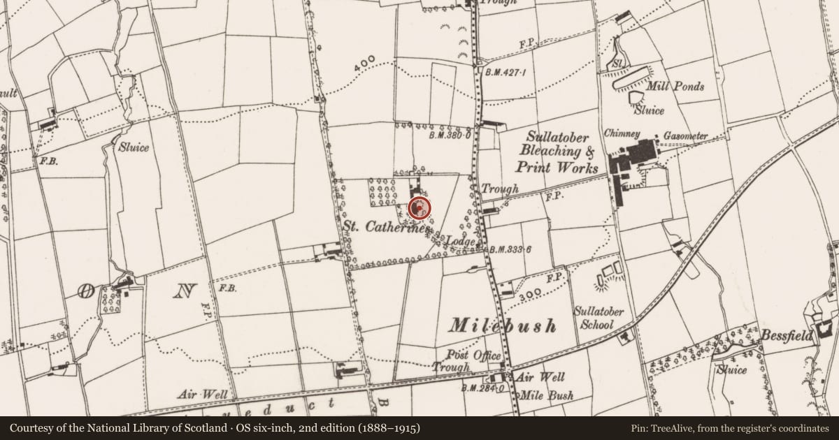 Ordnance Survey six-inch map, 2nd edition (1888–1915) covering the location of St Catherine's, 12 Red Brae Road, Carrickfergus, Co Antrim BT38 9DG, Commons, Mid and East Antrim, with a pin at the register's coordinates