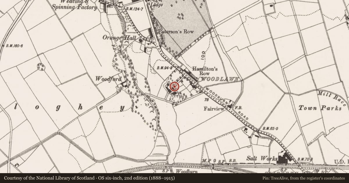 Ordnance Survey six-inch map, 2nd edition (1888–1915) covering the location of 39 Woodburn Road, Mid and East Antrim, with a pin at the register's coordinates