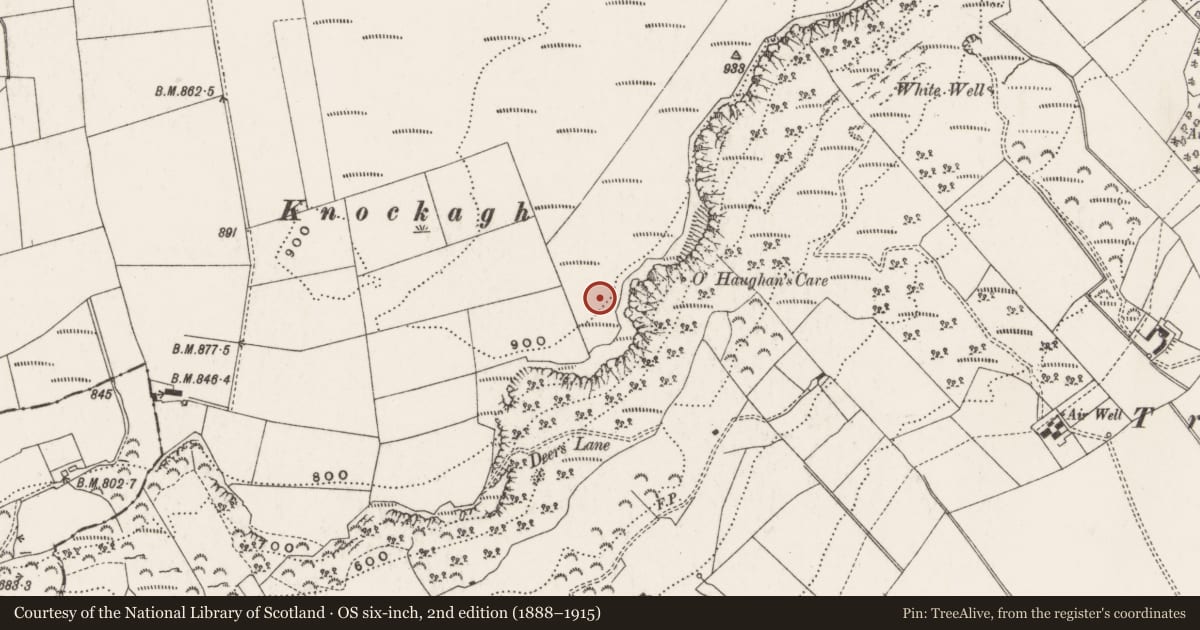 Ordnance Survey six-inch map, 2nd edition (1888–1915) covering the location of The County Antrim War Memorial, Knockagh, Mid and East Antrim, with a pin at the register's coordinates
