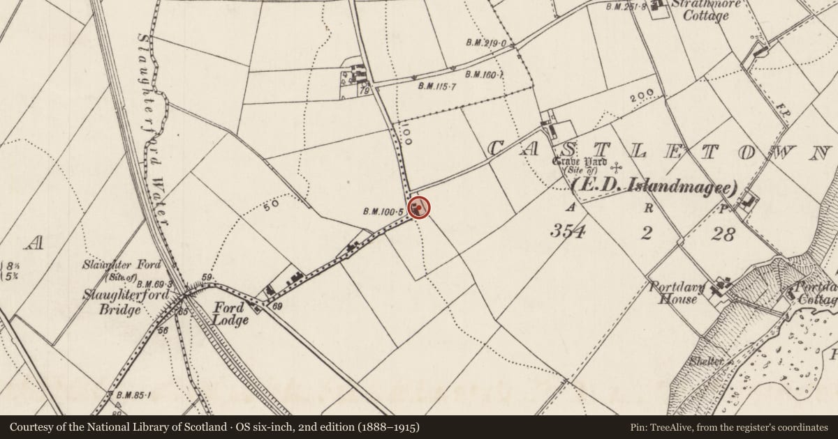 Ordnance Survey six-inch map, 2nd edition (1888–1915) covering the location of 133 Islandmagee Road, Temple-effin, Mid and East Antrim, with a pin at the register's coordinates
