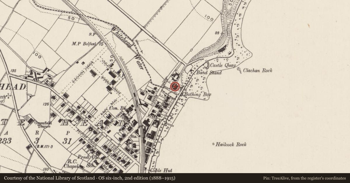 Ordnance Survey six-inch map, 2nd edition (1888–1915) covering the location of Castle Chester, Castletown, Mid and East Antrim, with a pin at the register's coordinates