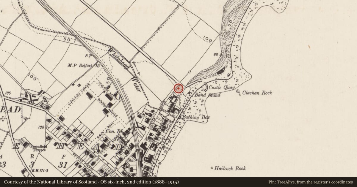 Ordnance Survey six-inch map, 2nd edition (1888–1915) covering the location of Westbourne, Mid and East Antrim, with a pin at the register's coordinates