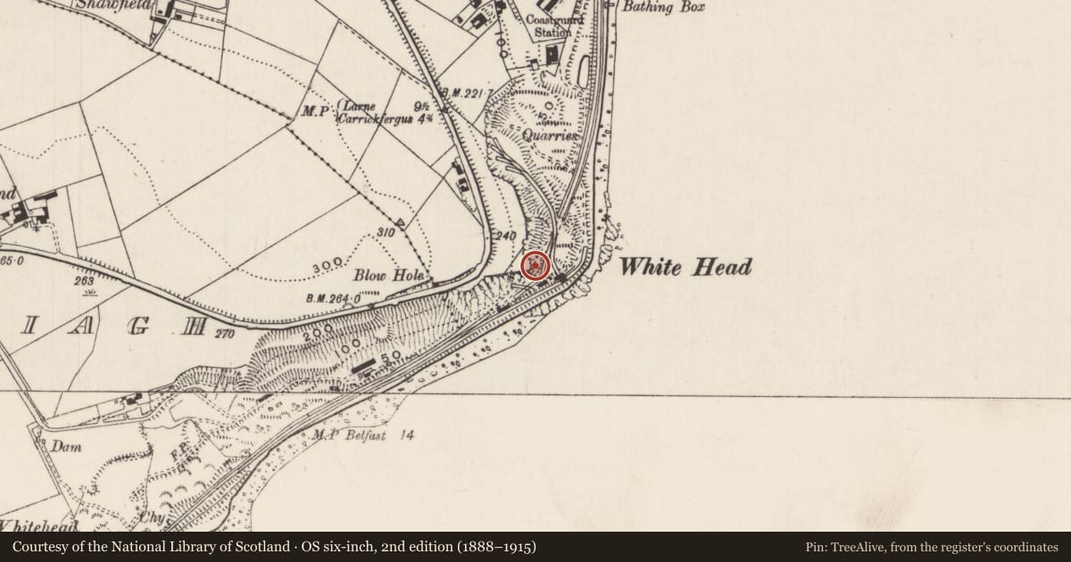 Ordnance Survey six-inch map, 2nd edition (1888–1915) covering the location of Railway Tunnel, Knocknaguilligh/Whitehead, Mid and East Antrim, with a pin at the register's coordinates