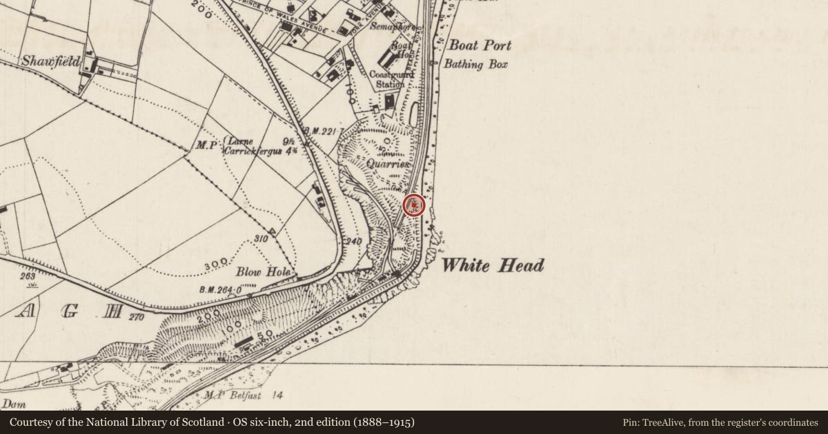 Ordnance Survey six-inch map, 2nd edition (1888–1915) covering the location of Bridge, Whitehead, Mid and East Antrim, with a pin at the register's coordinates