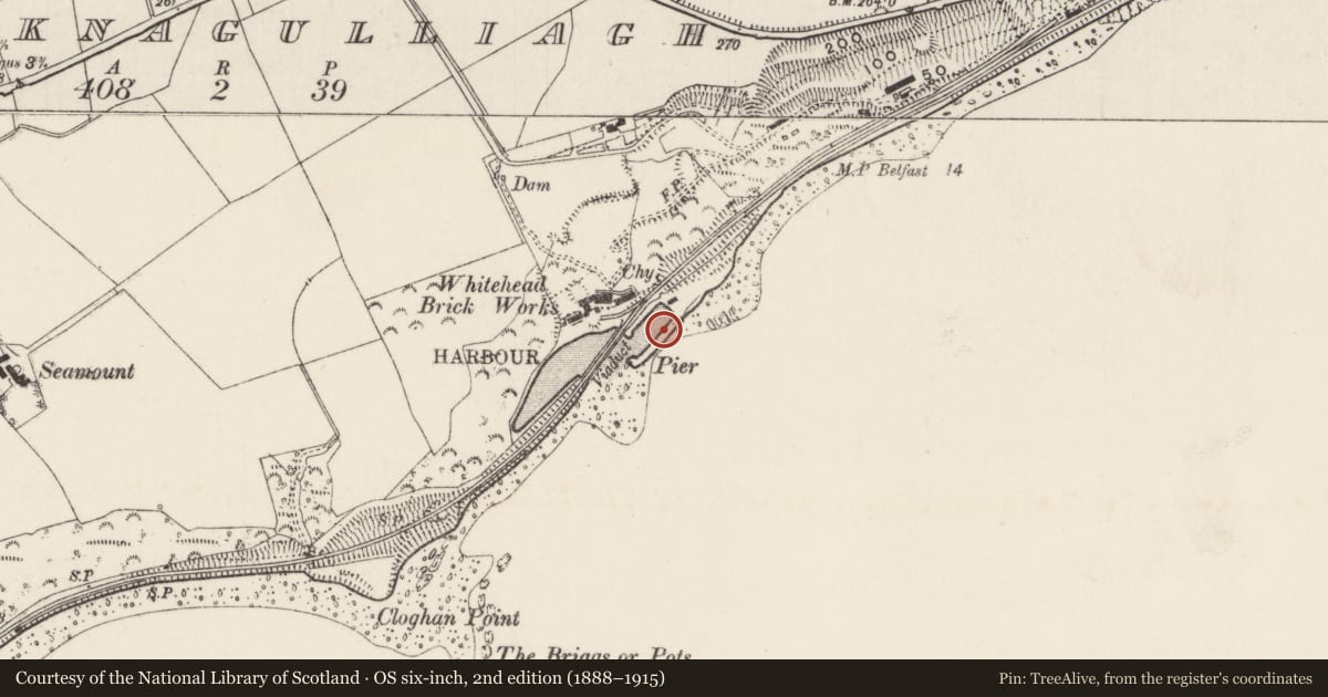 Ordnance Survey six-inch map, 2nd edition (1888–1915) covering the location of White Harbour, Knocknagulliagh, with a pin at the register's coordinates