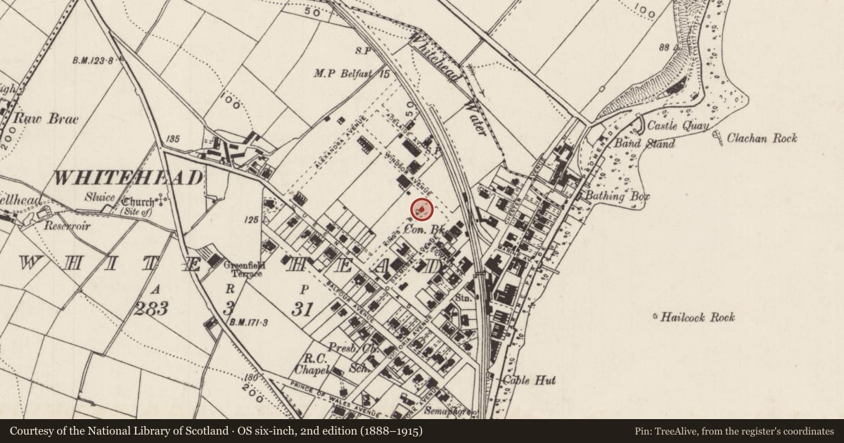 Ordnance Survey six-inch map, 2nd edition (1888–1915) covering the location of Telephone Kiosk, Whitehead, Mid and East Antrim, with a pin at the register's coordinates