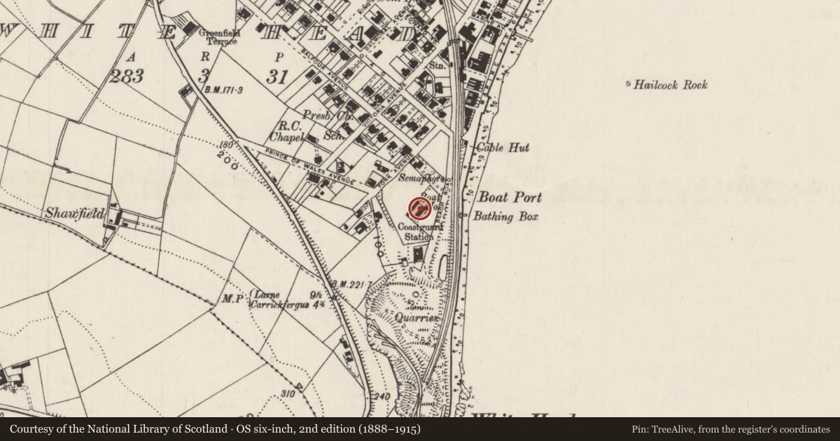 Ordnance Survey six-inch map, 2nd edition (1888–1915) covering the location of 9A Beach Road, Whitehead, Mid and East Antrim, with a pin at the register's coordinates
