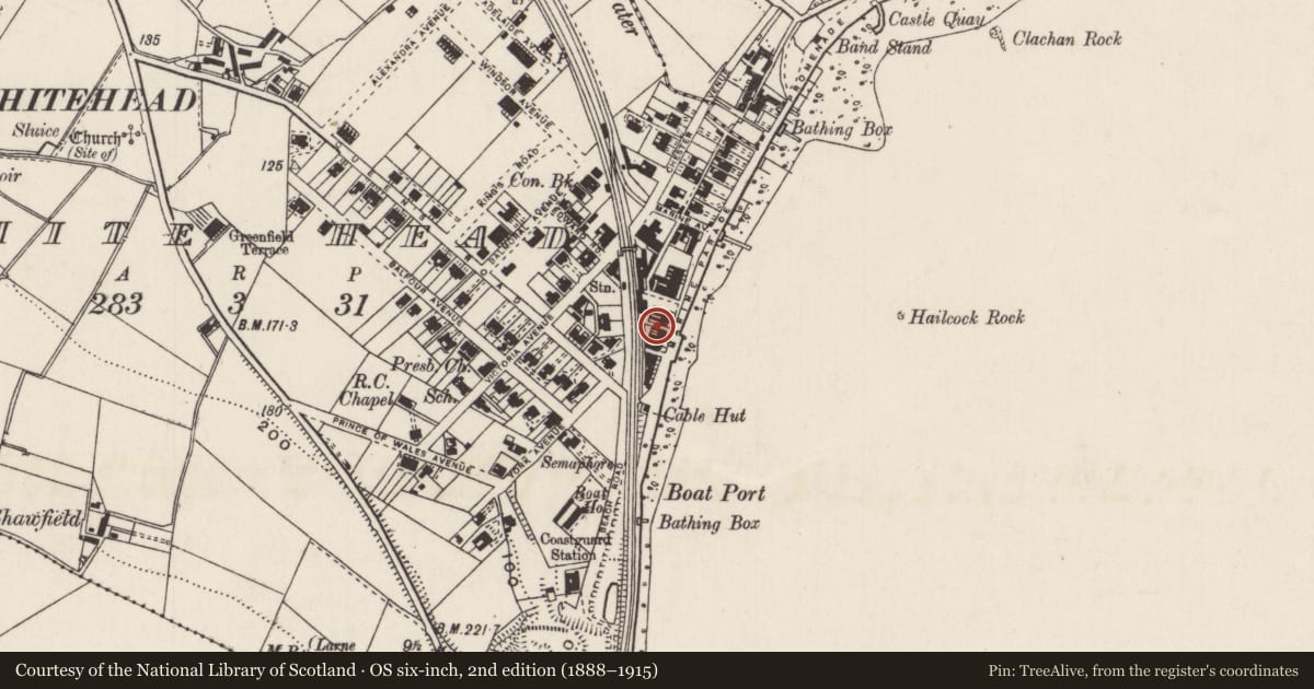 Ordnance Survey six-inch map, 2nd edition (1888–1915) covering the location of 10 Marine Parade, Whitehead, Mid and East Antrim, with a pin at the register's coordinates