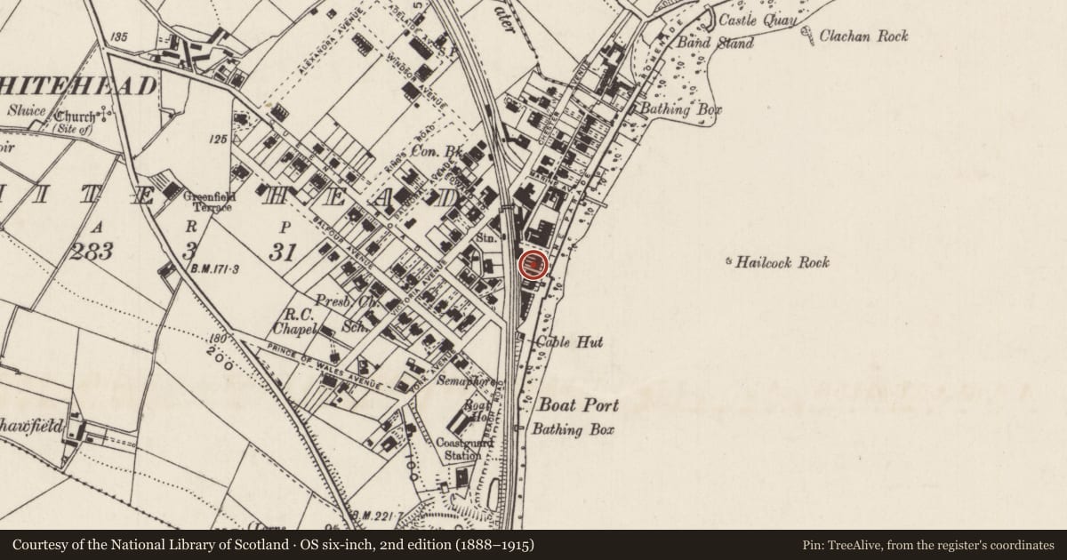 Ordnance Survey six-inch map, 2nd edition (1888–1915) covering the location of 11 Marine Parade, Whitehead, Mid and East Antrim, with a pin at the register's coordinates