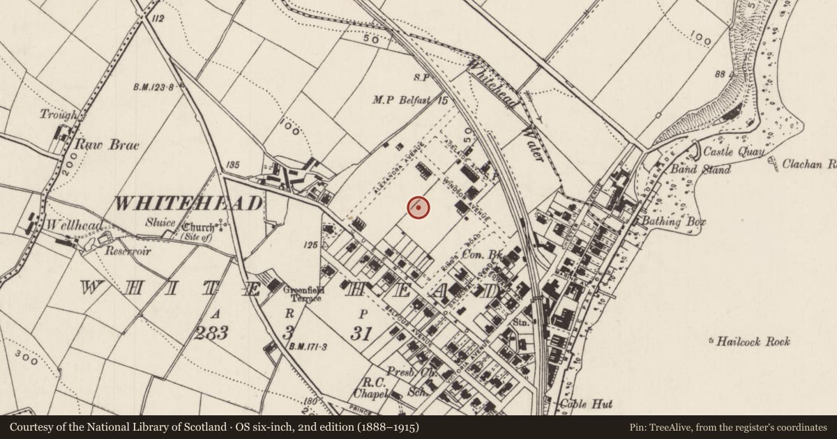 Ordnance Survey six-inch map, 2nd edition (1888–1915) covering the location of 28 Edward Road, Whitehead, Mid and East Antrim, with a pin at the register's coordinates