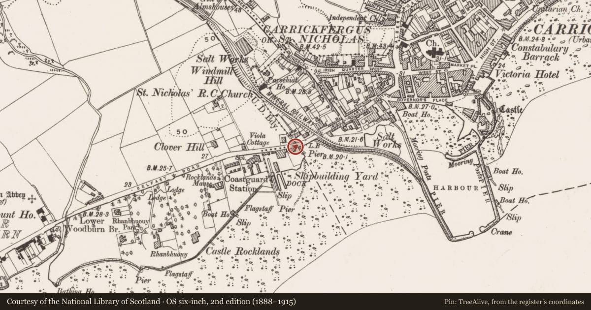 Ordnance Survey six-inch map, 2nd edition (1888–1915) covering the location of Maritime Cottage, Carrickfergus, Mid and East Antrim, with a pin at the register's coordinates