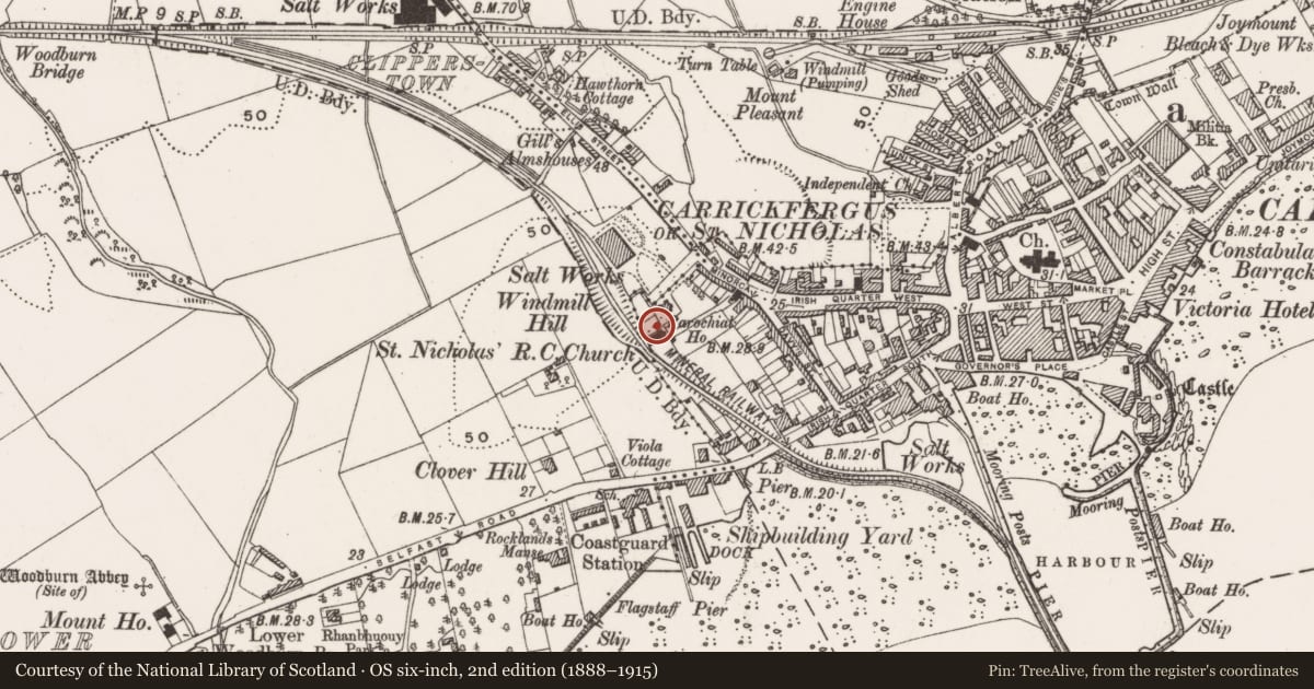 Ordnance Survey six-inch map, 2nd edition (1888–1915) covering the location of Old Chapel Community Centre, Mid and East Antrim, with a pin at the register's coordinates