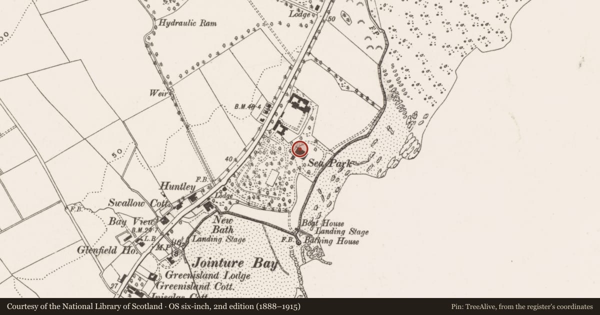 Ordnance Survey six-inch map, 2nd edition (1888–1915) covering the location of Seapark House, 109 Shore Road, Greenisland, Carrickfergus, Co Antrim, BT38 8TZ, West Division, Mid and East Antrim, with a pin at the register's coordinates