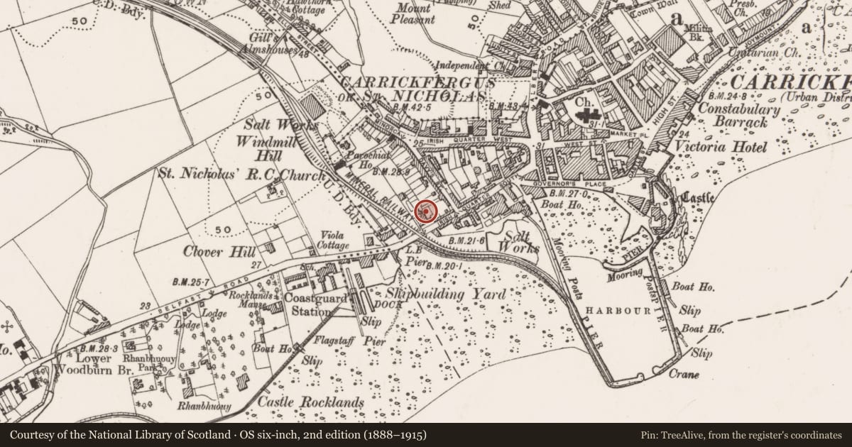 Ordnance Survey six-inch map, 2nd edition (1888–1915) covering the location of 91-95 Irish Quarter South, Mid and East Antrim, with a pin at the register's coordinates