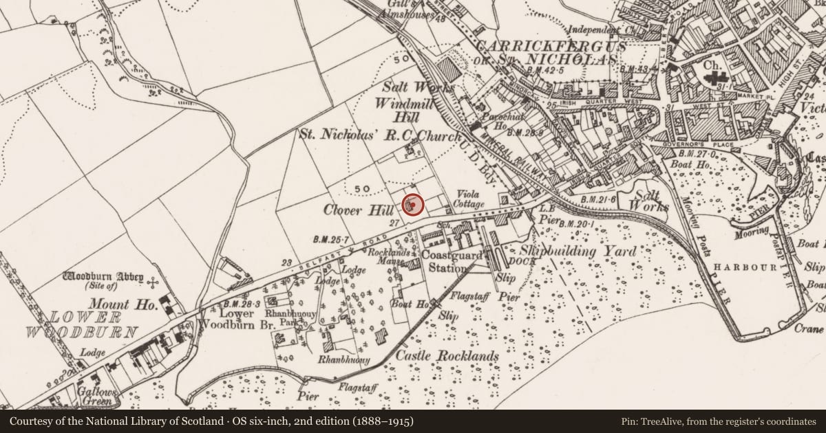 Ordnance Survey six-inch map, 2nd edition (1888–1915) covering the location of Clover House, West Ward, Carrickfergus, with a pin at the register's coordinates