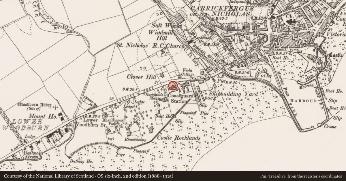 Ordnance Survey six-inch map, 2nd edition (1888–1915) covering the location of Coastguard Cottages, West Ward, Mid and East Antrim, with a pin at the register's coordinates