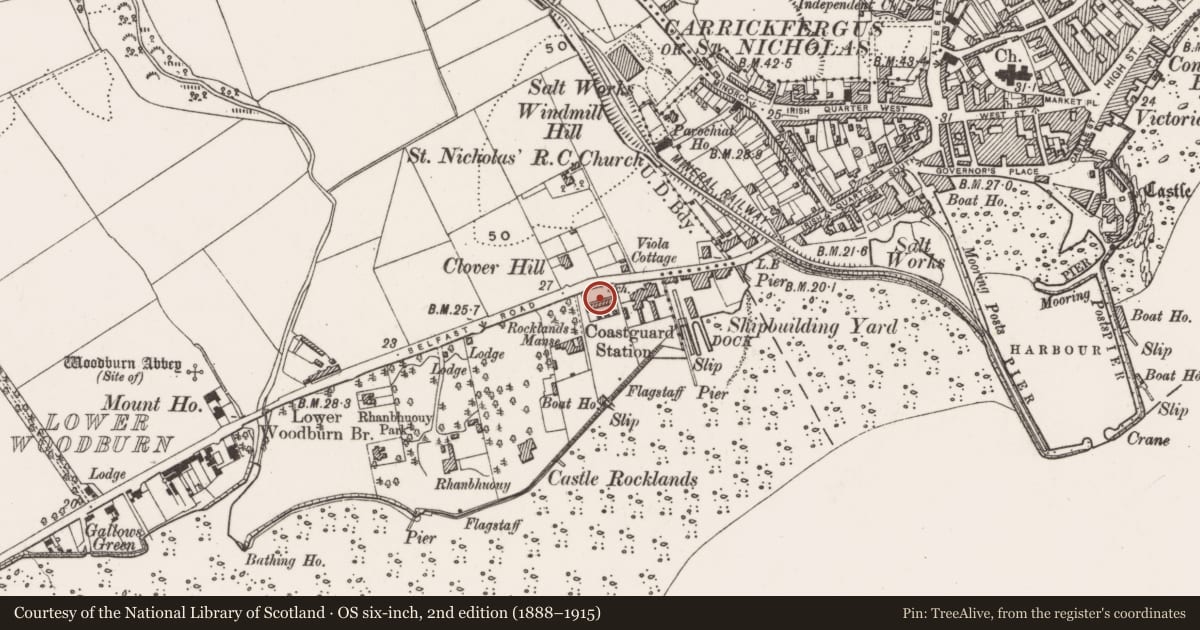 Ordnance Survey six-inch map, 2nd edition (1888–1915) covering the location of Coastguard Cottages, West Ward, Mid and East Antrim, with a pin at the register's coordinates