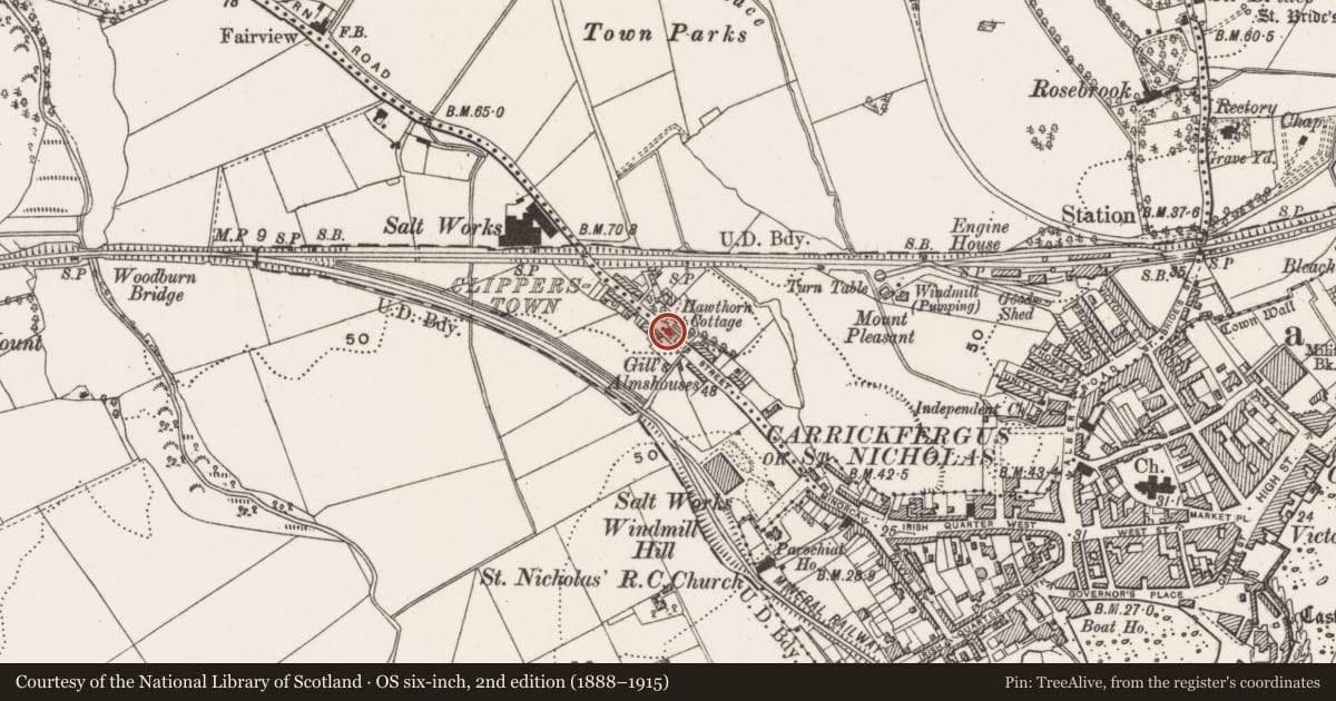 Ordnance Survey six-inch map, 2nd edition (1888–1915) covering the location of 52 Ellis Street, Mid and East Antrim, with a pin at the register's coordinates