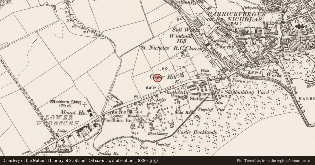 Ordnance Survey six-inch map, 2nd edition (1888–1915) covering the location of Stratherin, West Ward, Mid and East Antrim, with a pin at the register's coordinates