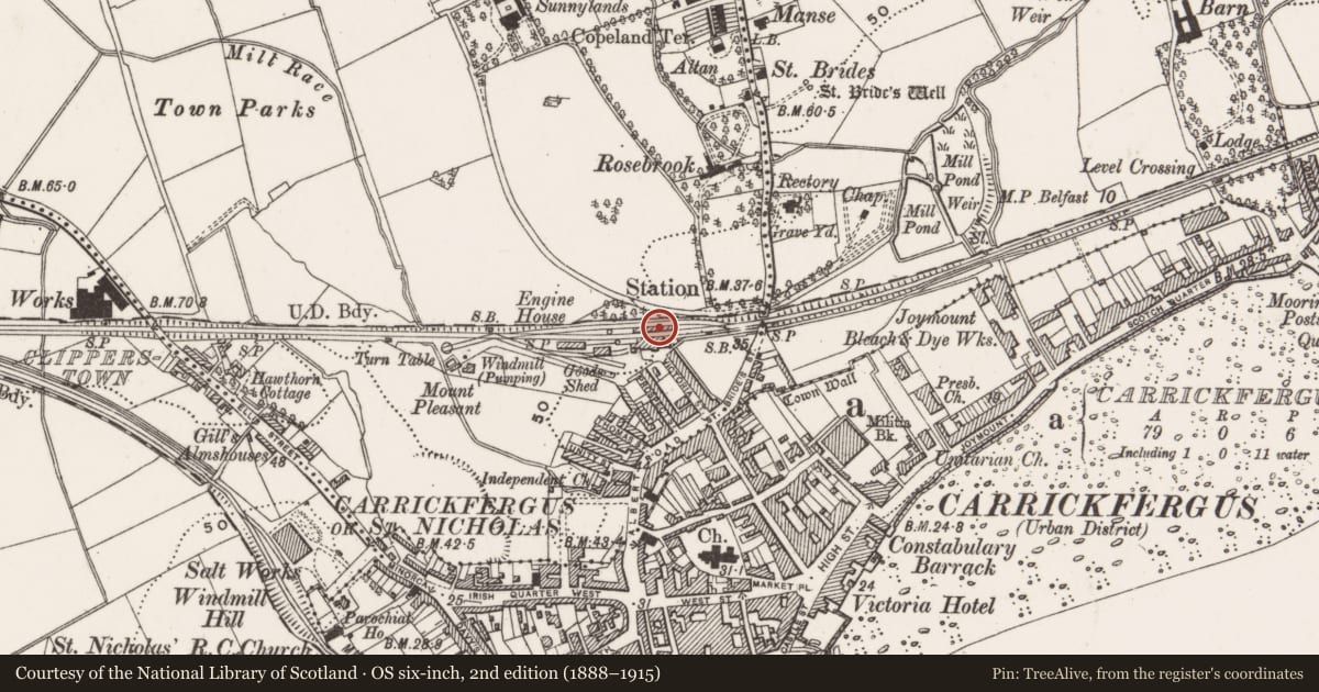 Ordnance Survey six-inch map, 2nd edition (1888–1915) covering the location of Carrickfergus Railway Station, Carrickfergus MB, Mid and East Antrim, with a pin at the register's coordinates