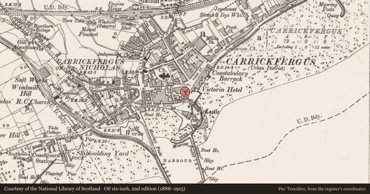 Ordnance Survey six-inch map, 2nd edition (1888–1915) covering the location of First Trust Bank (former Trustee Savings Bank), Carrickfergus, Mid and East Antrim, with a pin at the register's coordinates