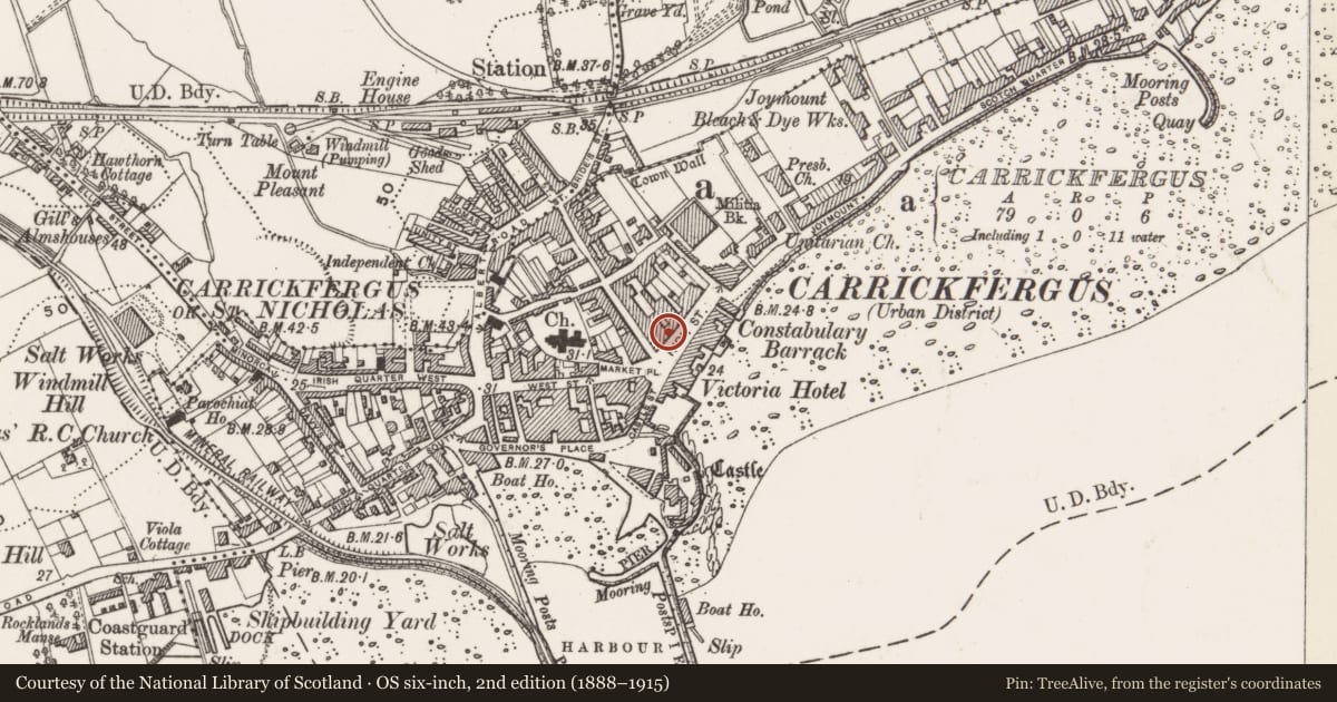 Ordnance Survey six-inch map, 2nd edition (1888–1915) covering the location of Dobbins Inn Hotel, Carrickfergus, Mid and East Antrim, with a pin at the register's coordinates
