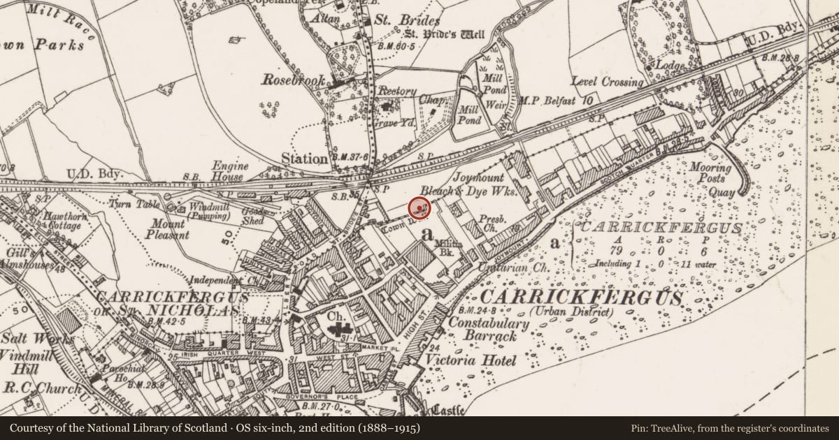 Ordnance Survey six-inch map, 2nd edition (1888–1915) covering the location of Wall, Mid and East Antrim, with a pin at the register's coordinates