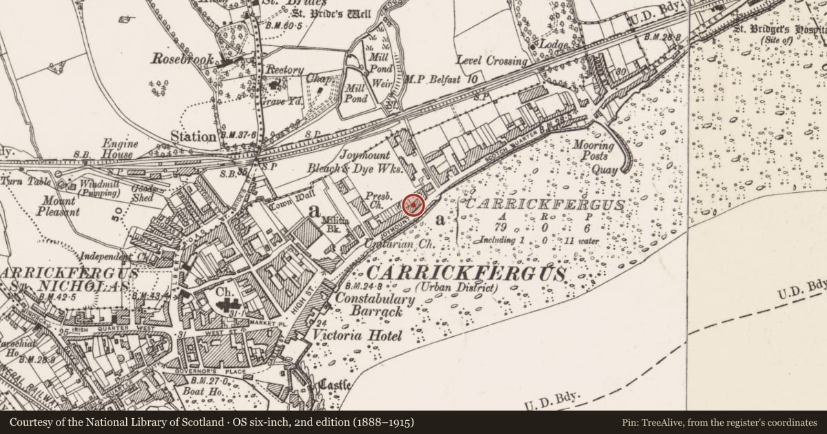 Ordnance Survey six-inch map, 2nd edition (1888–1915) covering the location of 21 Joymount, Carrickfergus, Mid and East Antrim, with a pin at the register's coordinates