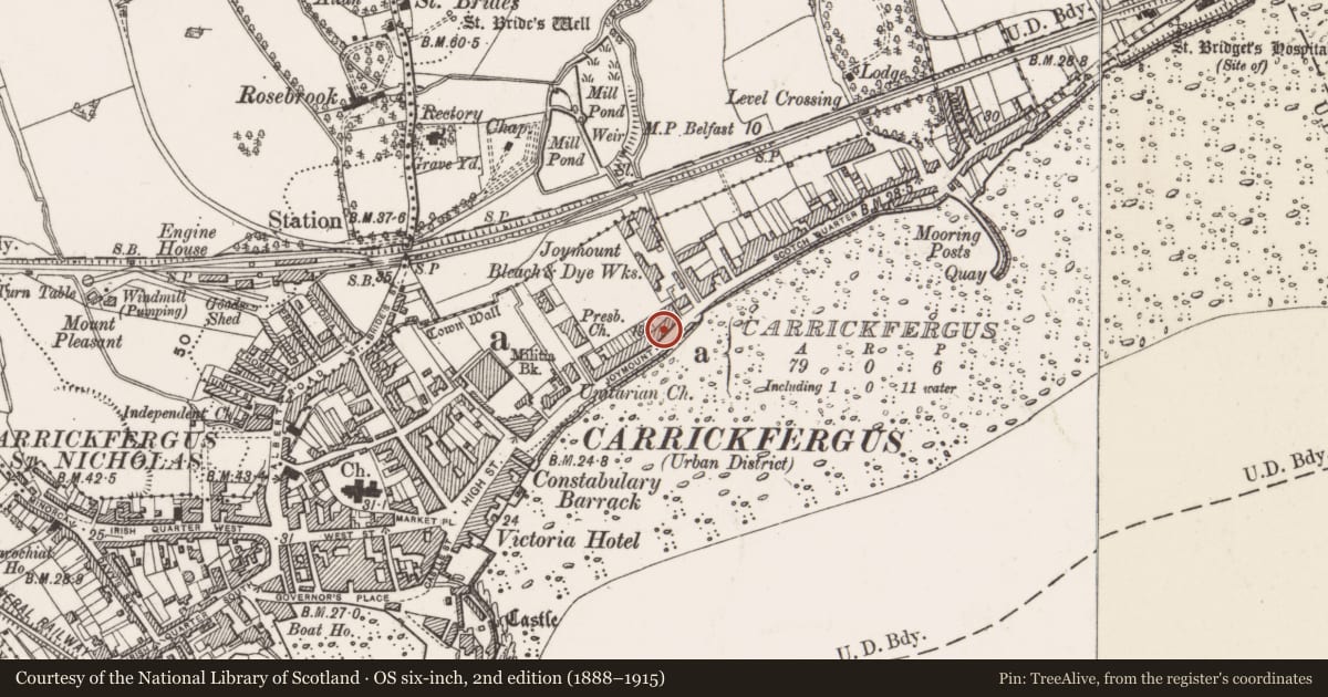 Ordnance Survey six-inch map, 2nd edition (1888–1915) covering the location of 22 Joymount, Carrickfergus, Mid and East Antrim, with a pin at the register's coordinates