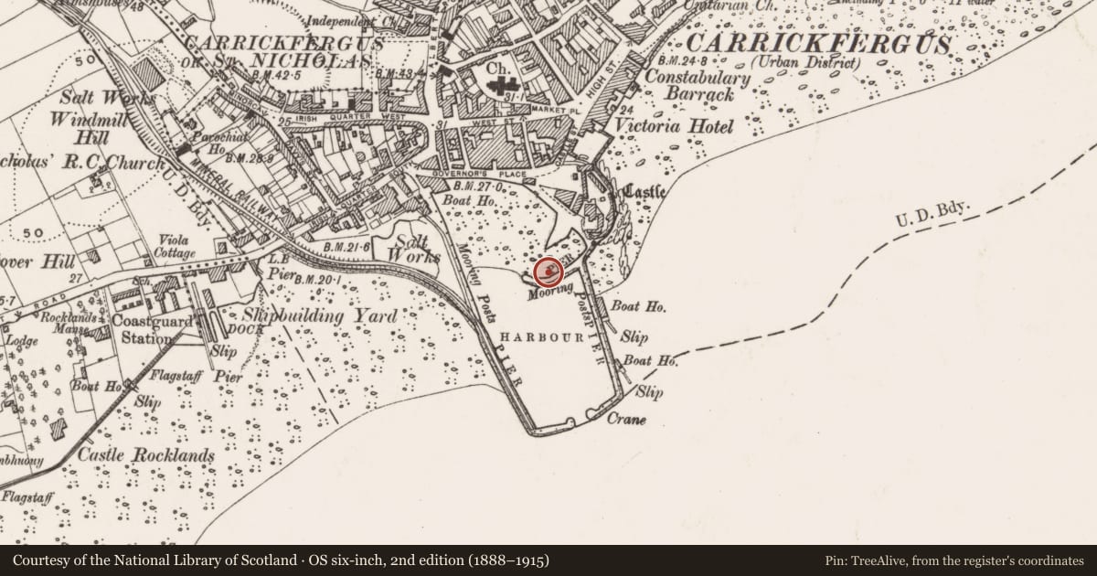 Ordnance Survey six-inch map, 2nd edition (1888–1915) covering the location of King William III Pier, Carrickfergus, Mid and East Antrim, with a pin at the register's coordinates